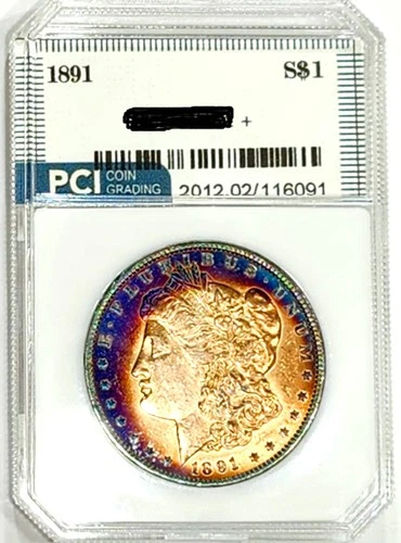 1891-P Rare Date CH + / Gem BU  Album Rainbow Toned Colors Morgan Dollar