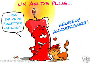 Carte Postale D Anniversaire Joyeux Anniversaire Un An De Plus Chat Humour Ebay