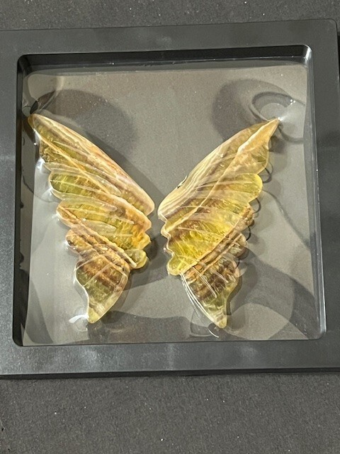 Picture 10 of 24