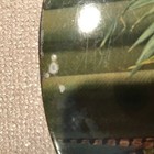 Bild 8 von 12
