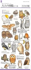 Kamio Japan Adult Picture Book Sticker 21386 Owl│Seal Sticker Sticker