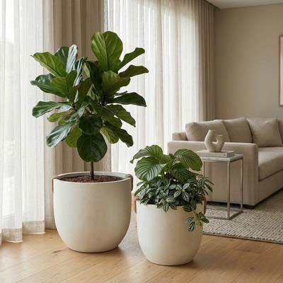 Round Concrete Planter Set of 2 37x33cm 46x40cm off white Outdoor