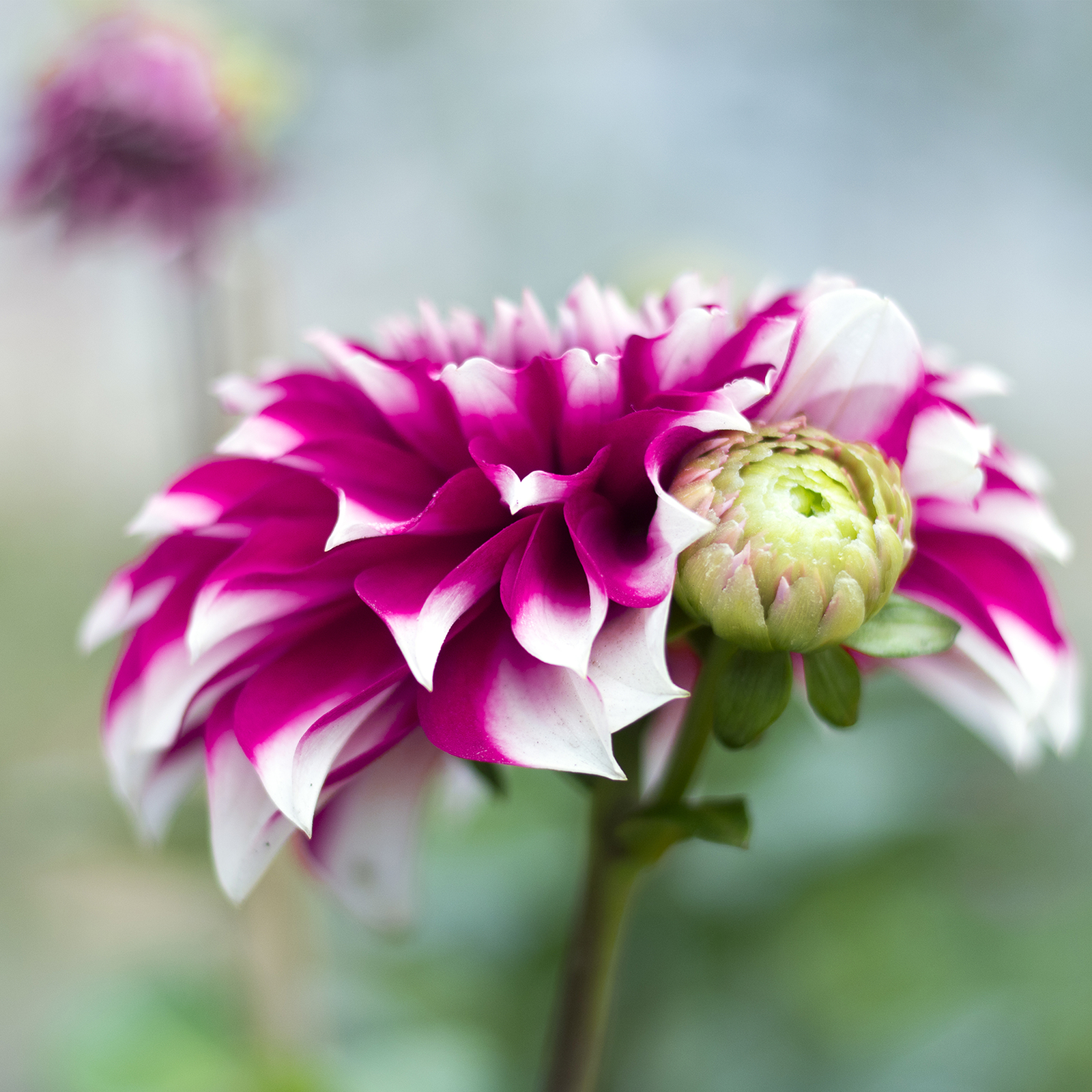 Bild 7 von 272