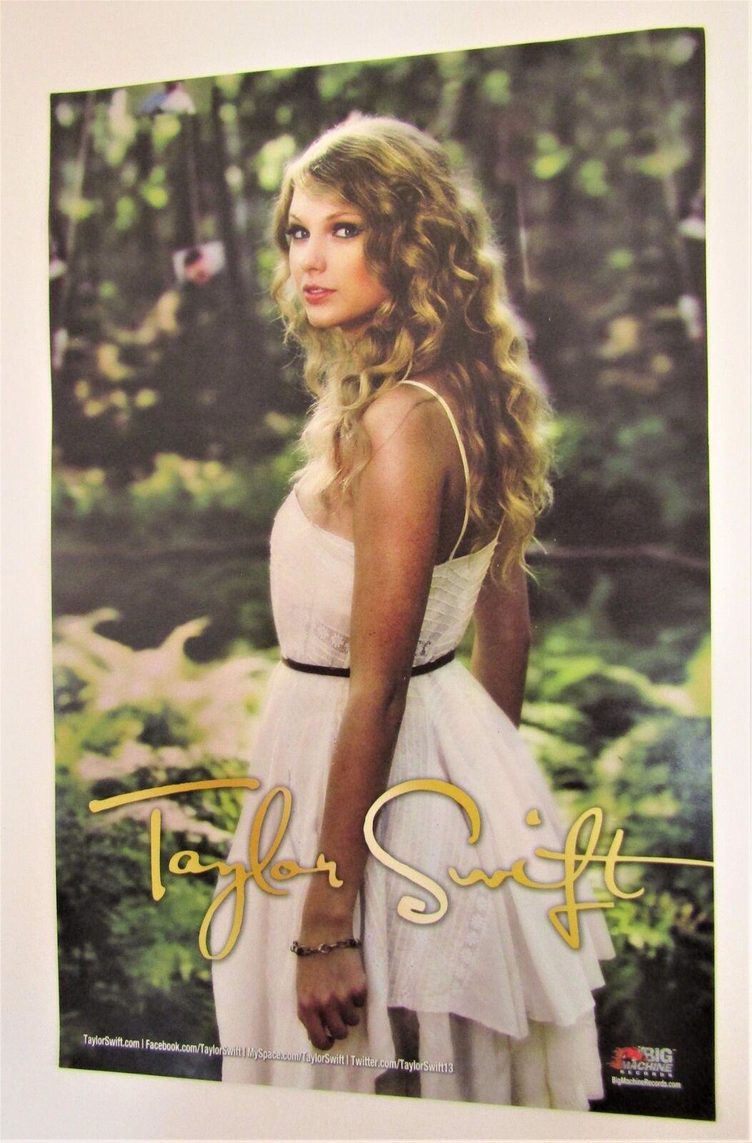 Taylor Swift 9.5"x 15" Promo Poster 2010 Promotional