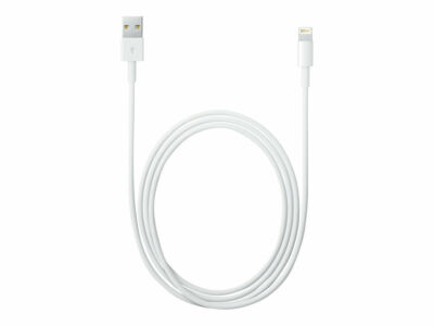 Apple Lightning auf USB Kabel - 2m, Weiß (MD819ZM/A)