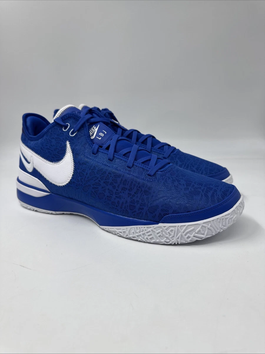 Nike Zoom LeBron NXXT Gen TB Promo Game Royal for Sale