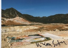 Vivian Suter "documenta 14" Autogramm signed 13x18 cm Bild