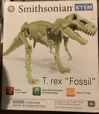 t rex fossil