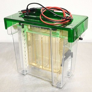Bio-Rad Protean II xi Cell Large Vertical Gel Electrophoresis Chamber SDS-PAGE