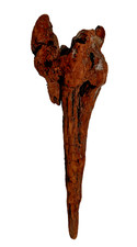 California Coast Driftwood - A2 2 piece, Redwood