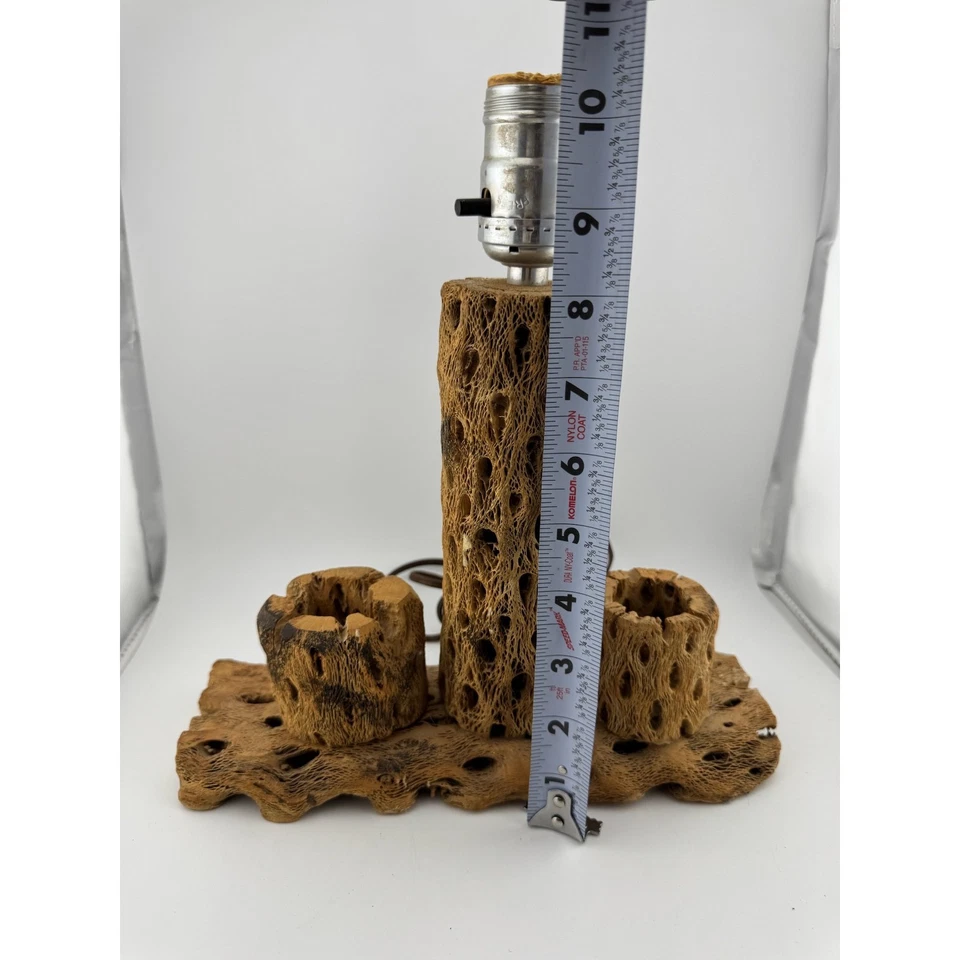 Lámpara de mesa Cholla Cactus rústica decoración desierto iluminación de acento única Foto 3 de 4