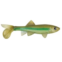 Berkley Havoc Sick Fish 4 Light Hitch 1280560 on sale Berkley Havoc Sick Fish 4 Light Hitch 1280560 on sale