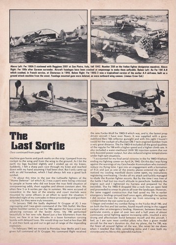 Focke Wulf FW 190 Flugzeugbericht 10/16/2022j - Bild 8 von 8