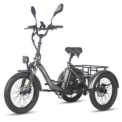 FAFREES F20 Mate Elektro-Lastendreirad | 250-W-Motor | 180 kg Tragkraft | 110 km