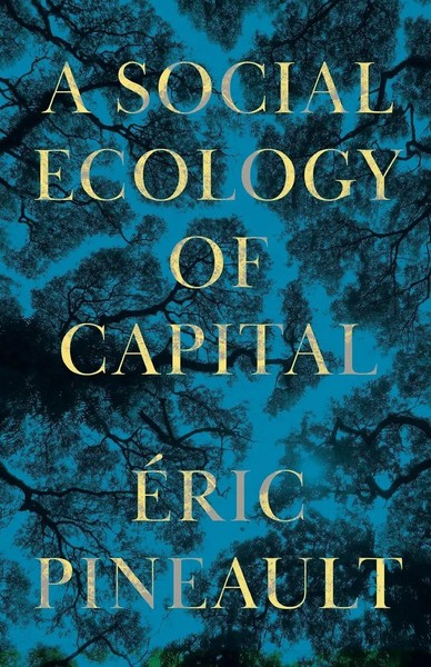 A Social Ecology Of Capital | ÉRic Pineault | Taschenbuch | Englisch | 2023-image