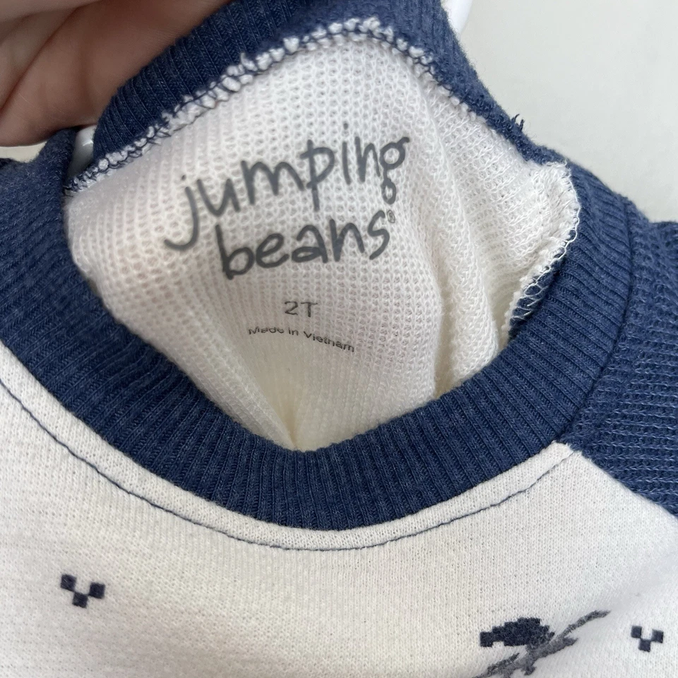 Jumping Beans | Blue & White Fair Isle Dinosaur Raglan Shirt Boys 2T Foto 4 de 4