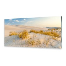 Glasbilder Wandbild Druck auf Glas Ostsee-Dünen