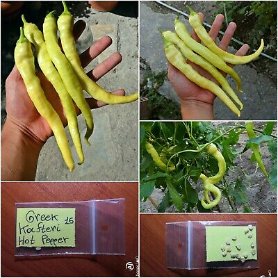Details about  / Greek Heirloom Long Hot Pepper /'/'Kafteri Kerato/'/' ~15 Top Quality Seeds RARE