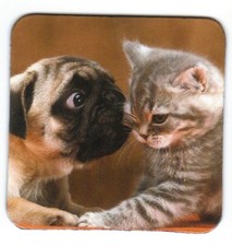 K&uuml;hlschrank - Magnet: allerbeste Freunde - Mops und K&auml;tzchen - pug and kitten