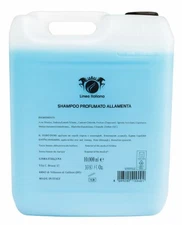 SHAMPOO TANICA PROFESSIONALE DA 10 LITRI MENTA