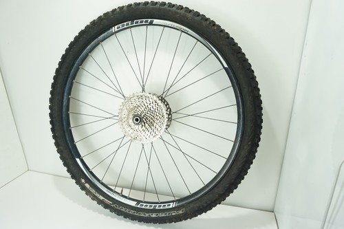 Tech Enduro 29er Roue Arrière Hope pro 4 Moyeux 10 Vitesses Casset 180mm Rotor Pneu