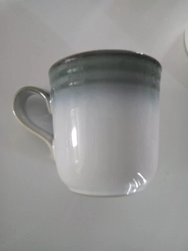 Noritake Stonewear SORCERER 8620 Set of 4 Coffee Mugs