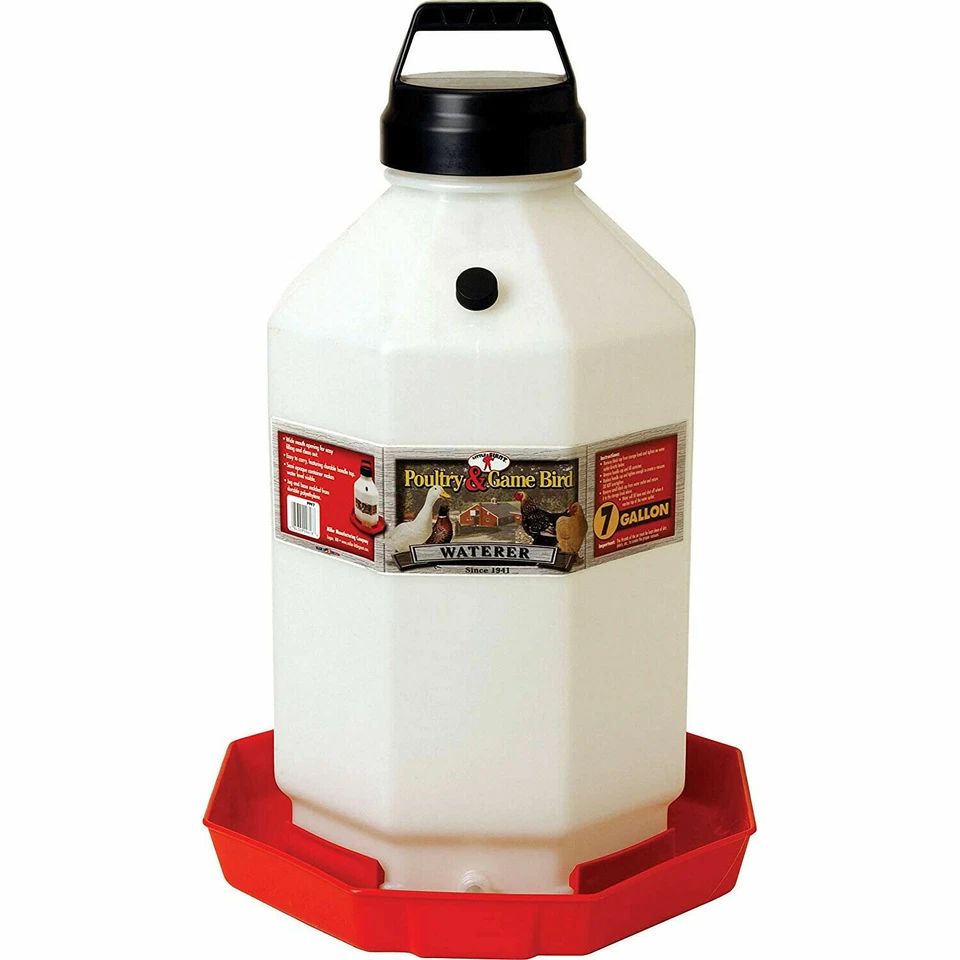 Little Giant PPF7 7 Gallon Capacity Automatic Poultry Waterer for Chickens Best!
