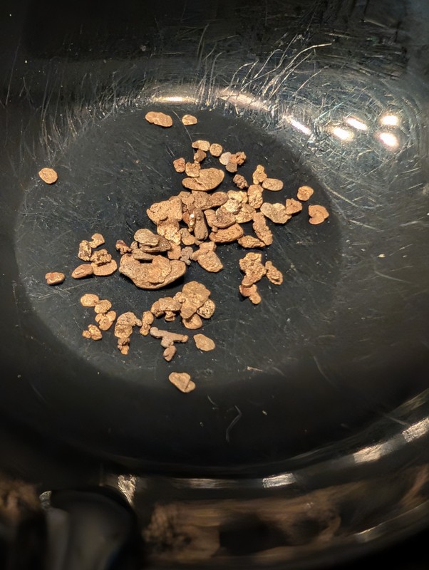 0.100 Gram Calif. High Purity Raw Placer Gold From The Beautiful Yuba River. 