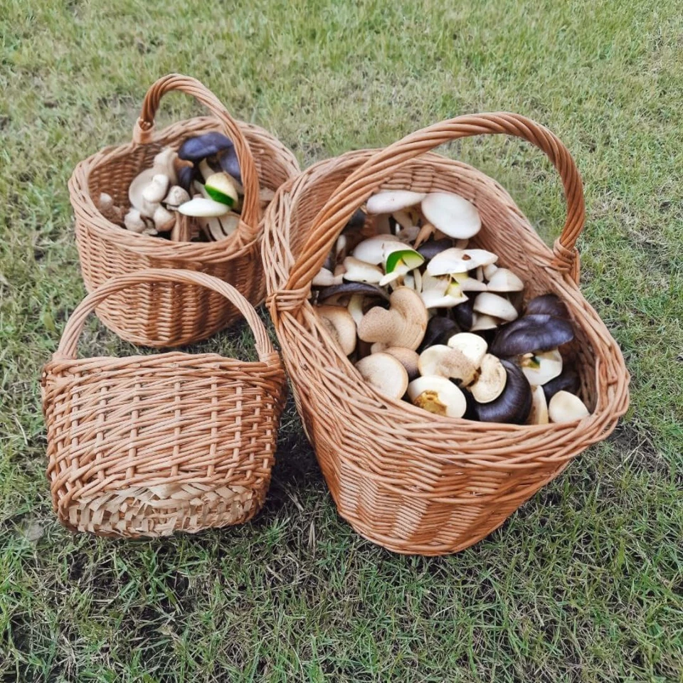 Cesto in Vimini Intero per La Raccolta Funghi E Frutti, Interamente Realizzato a - Immagine 2 di 4