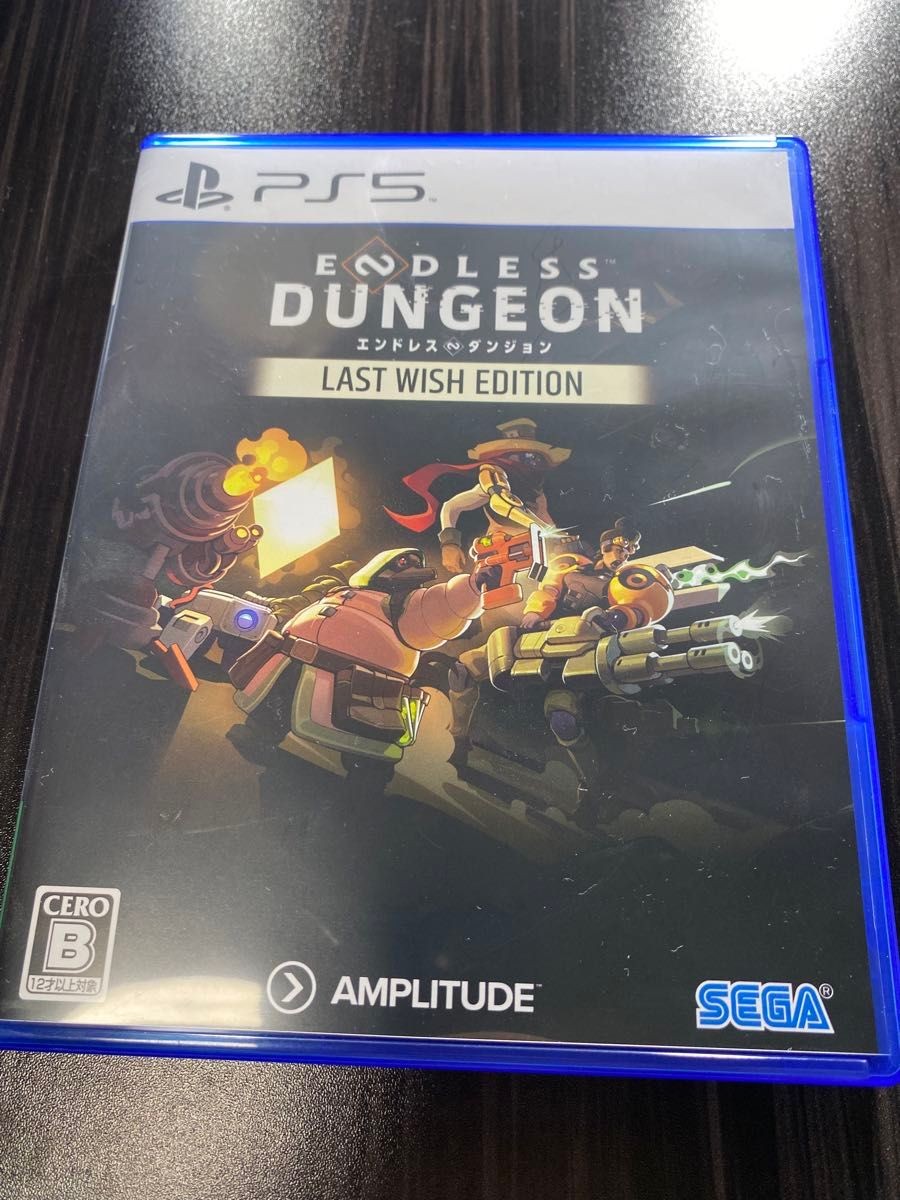 PS5 Endless Dungeon PlayStation 5 Last Wish Edition Japan Import