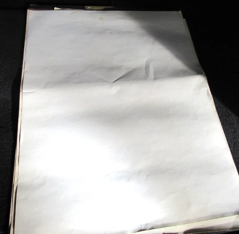 Impresión litográfica de colección Frank Frazetta "La aparición" 1979 Foto 4 de 4