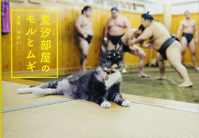 Moru and Mugi The Arashio Sumo Stable Cats Bilingual English Japanese Book USED