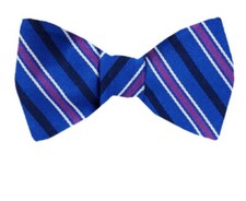 Men's 100 Silk Designer Stripe Self Tie Woven Bowtie- NWT