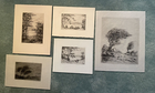 Photo 2/24