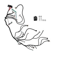 Stand Alone Harness For Ls Swap Vortec 4l80e 4.8 5.3 6.0 Drive By Wire 2003-07