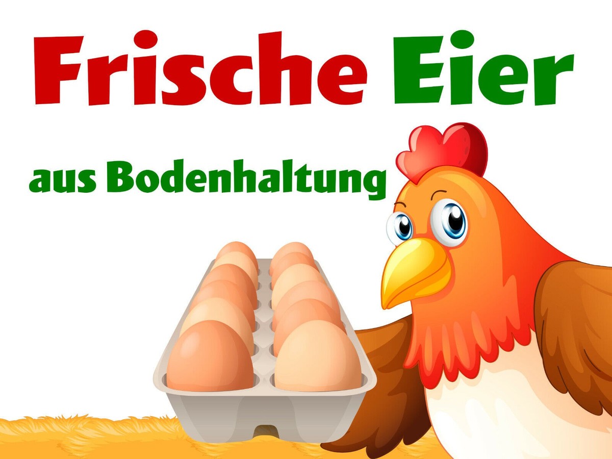 DankeDir! Frische Eier - 30 x 20 cm Schild - Geschenk Geschenkidee Bauer Freunde Bauernhof DankeDir! Frische Eier - 30 x 20 cm Schild - Geschenk Geschenkidee Bauer Freunde Bauernhof