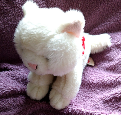 Keel Toys weiße Katze Kätzchen Kätzchen Beanie Stofftier Plüsch Tröster