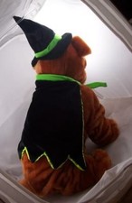 Witch Doggy costume dog pet clothes Halloween outfit witchy black and green