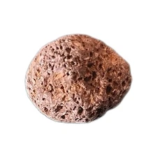 Volcanic Mount Shasta  California  Pumice Stone