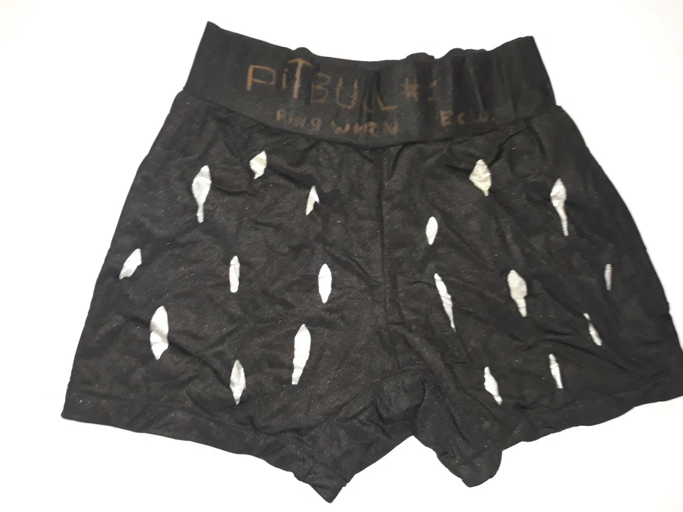 Pitbull #1 Gary Wolf ECW Anillo Usado Lucha Pantalones Cortos Medias The Pitbulls Firmado Foto 4 de 4