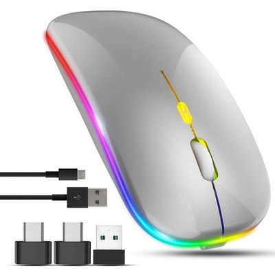 Kabellose Maus für Laptop mit 2 USB A auf C Adapter, 2,4 GHz Silber