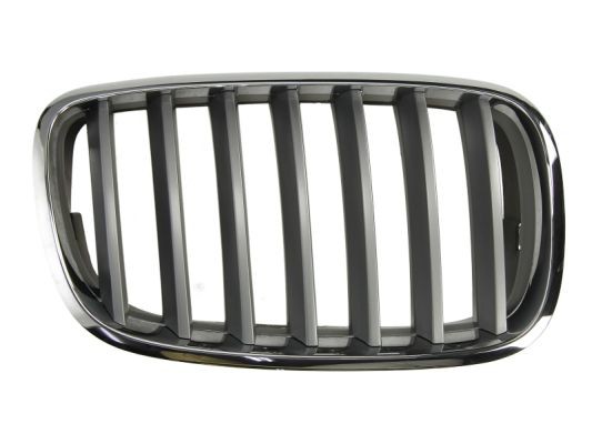 Right BLIC 6502-07-0096992PP Radiator Grille for BMW