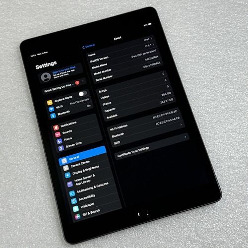 Apple iPad Pro 1st Gen. 256GB, Wi-Fi Only, 10.5 in - Space Grey - ref 439 - Picture 3 of 11