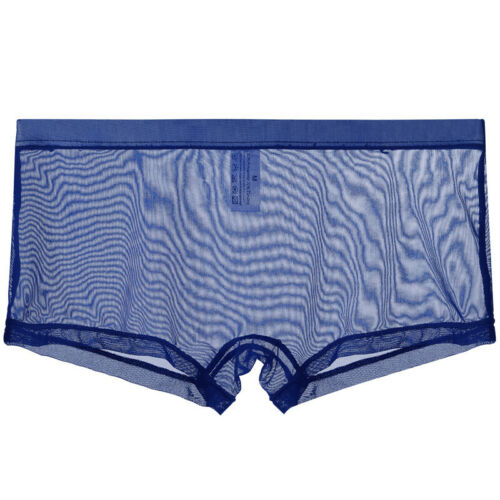 Sexy Men Boxer Briefs Sheer See Through Mesh Underwear Shorts Trunks Underpants - Picture 31 of 31