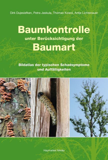 Thumbnail - Baumkontrolle Unter Berücksichtigung Der Baumart Dirk Dujesiefken