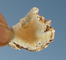 Malawi Agate Lapidary Slab                    T1010