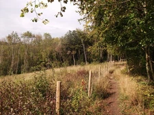 Photo A2 Footpath on Saltbox Hill Biggin Hill A path leads from Saltbox  c2011
