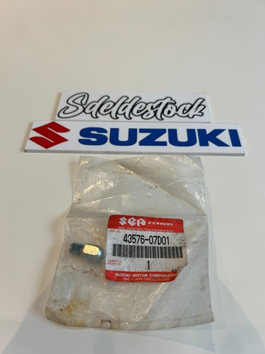 Pompe Moto Teram Loisirs Pompe à Essence Filtre Suzuki Honda - TERAM LOISIRS Neuf France Huile 2 Temps 100 Synthese