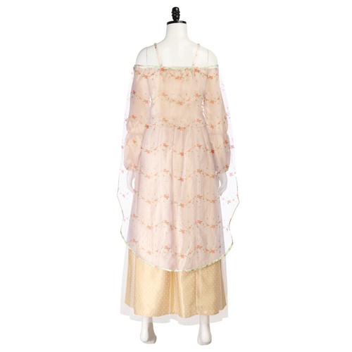 Cosplay Star Wars Padmé Amidala Tops Skirts Cloak Halloween Carnival Suits Gown - Picture 4 of 9