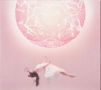 CD, Album, Dig Purity Ring - Another Eternity